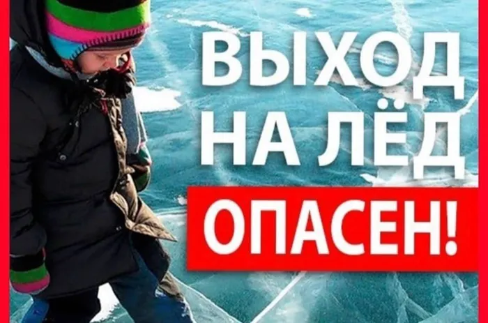 video-www_instagram_com-164129295264221.jpeg